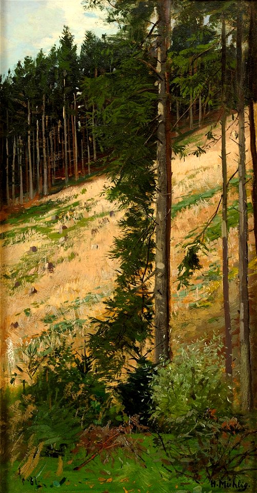 Hugo Mühlig Waldpartei 1887