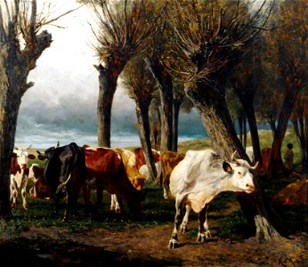 Carl Rudolf Huber Rinderherde unter Kopfweiden