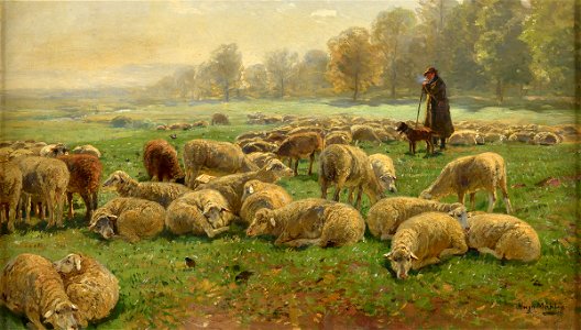 Hugo Mühlig Schäfer mit seiner Herde