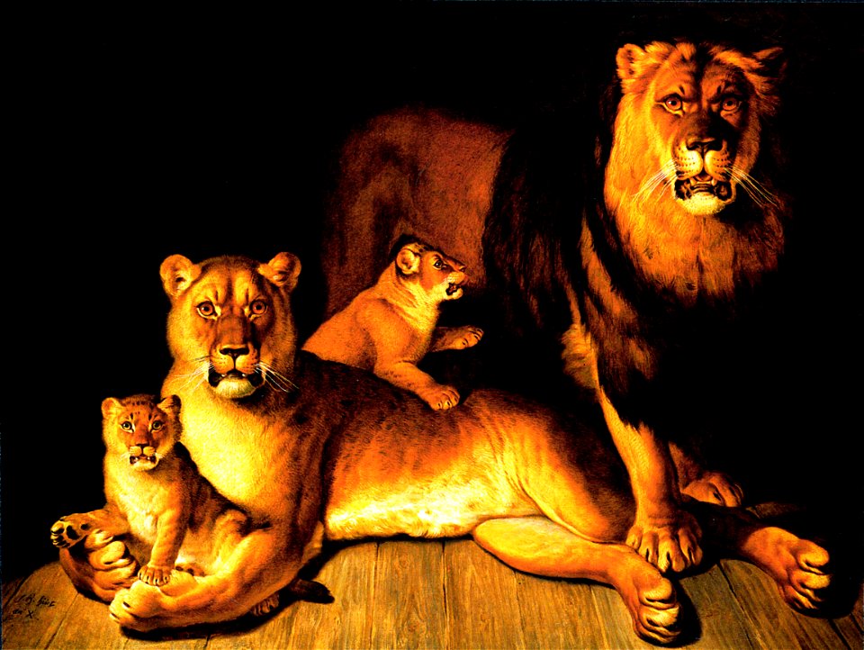 Huet lions