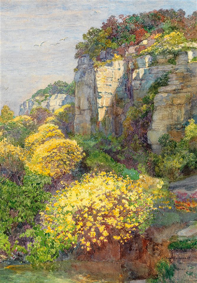 Hugo Charlemont – Broom in bloom on Brioni, 1912