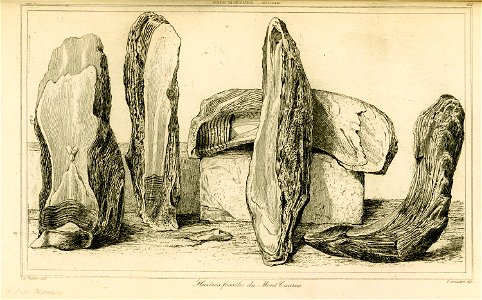 Huitres fossiles du mont Taurus - Texier Charles Félix Marie - 1882