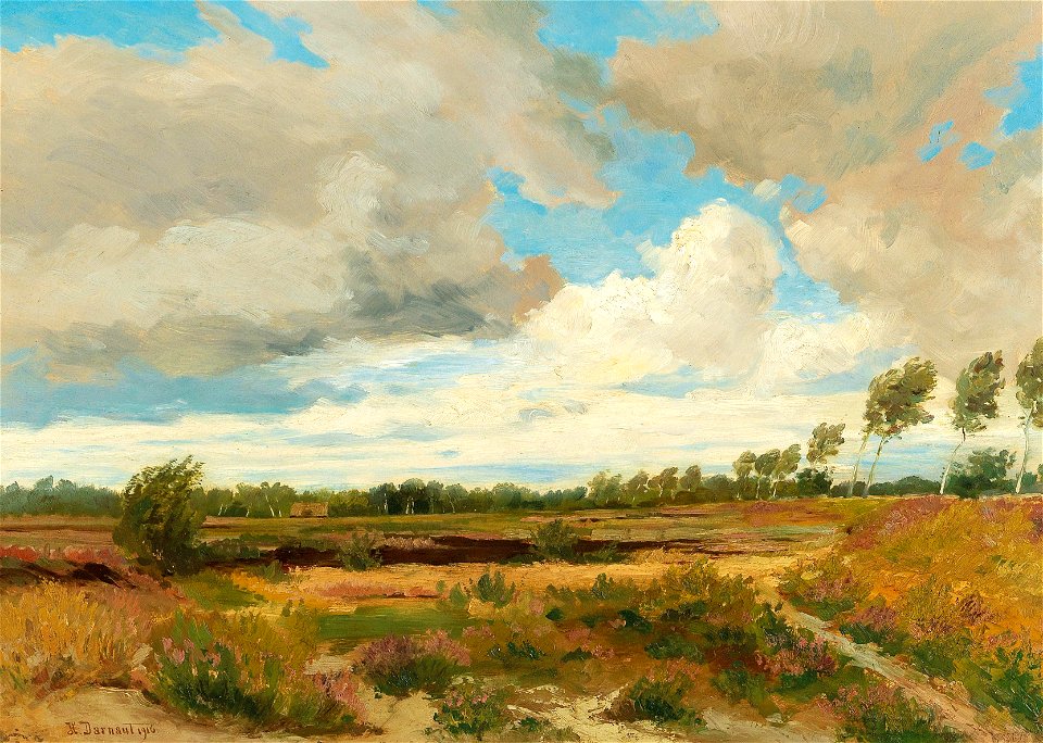 Hugo Darnaut - Moorland