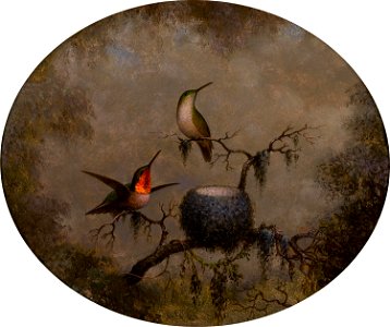Hummingbirds and their nest-Martin Johnson Heade-1863. Free illustration for personal and commercial use.
