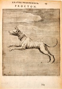 Hugo-de-Groot-Syntagma-Arateorum MG 0635