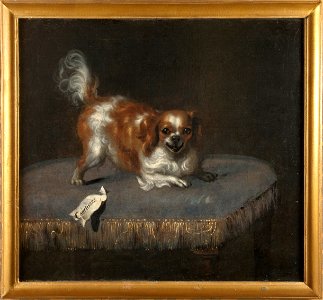 Hunden Courtisane - Nationalmuseum - 15503