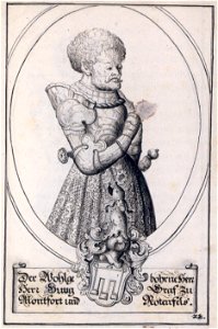Hugo XII von Montfort
