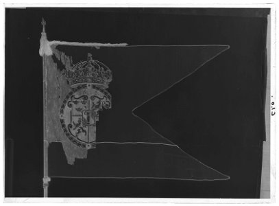 Huvudbanér, fältbanér - Livrustkammaren - 69397-negative