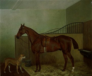 Hunting horse and dog in stable interior