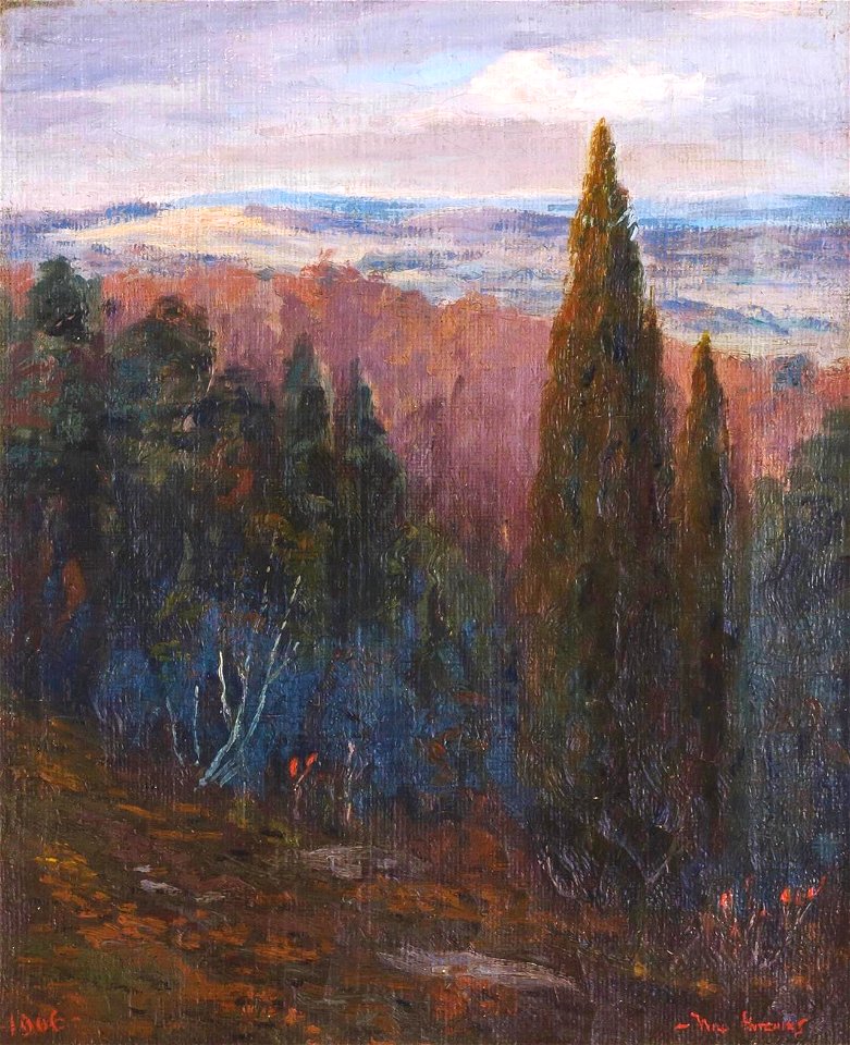 View from the Top by Will Hutchins