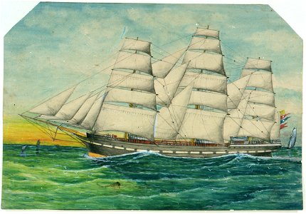 Hurunui RMG PU6479
