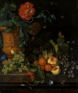 Terracotta Vase with Flowers and Fruits - Jan van Huijsum - Google Cultural Institute. Free illustration for personal and commercial use.