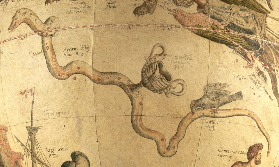 Hydra Corvus et Crater - Mercator