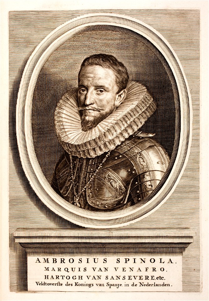 Hugo-de-Groot-Nederlandtsche-jaerboeken MG 0199
