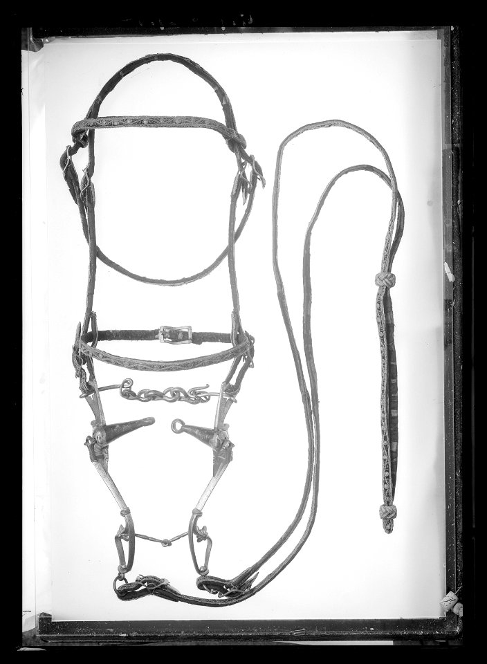 Huvudlag, stångbett och tyglar använda vid Karl X Gustavs begravning 1660 - Livrustkammaren - 52817