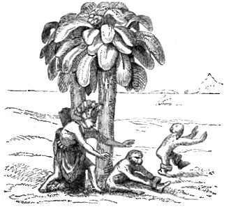 Huxley - De la place de l'homme dans la nature (page 125 crop)