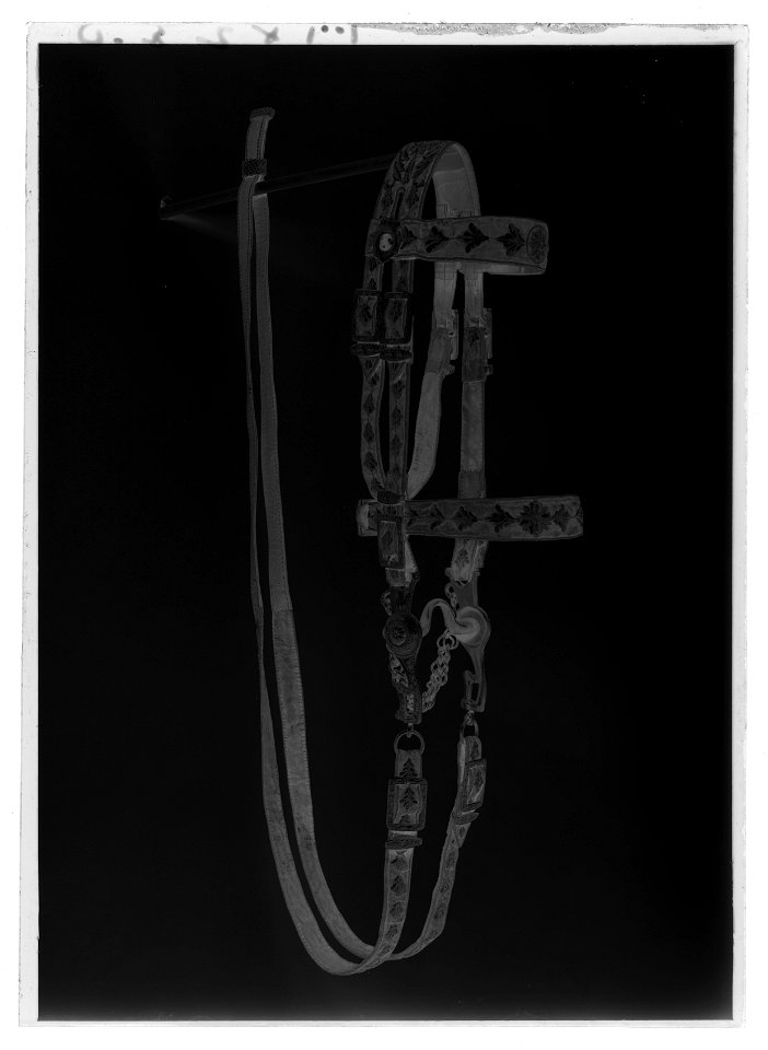 Huvudlag, ett av tre - Livrustkammaren - 1539-negative