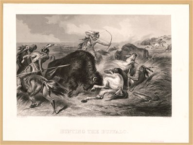 Hunting the buffalo LCCN2003679733