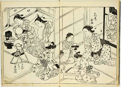Hyakunin joro shina-sadame 百人女郎品定 (One Hundred Women Classified According to their Rank) (BM 1979,0305,0.70.2 14)