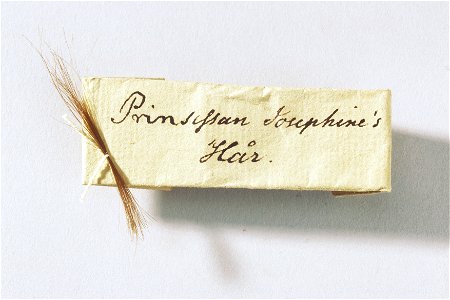 Hårlock från Josefina av Sverige - Livrustkammaren - 22429