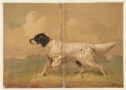Hunting dog LCCN2003680081