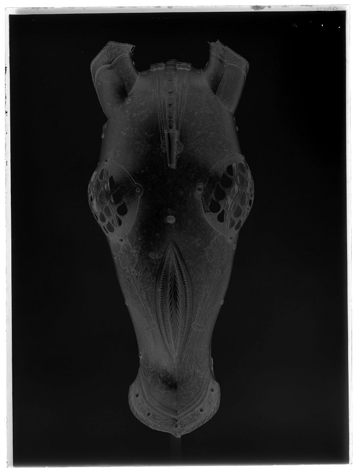 Häststjärna - Livrustkammaren - 8771-negative