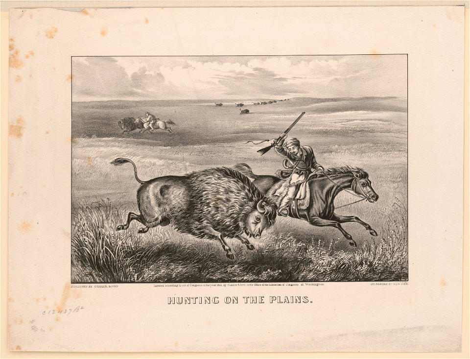 Hunting on the Plains LCCN95514570