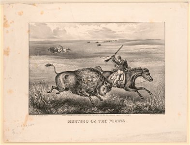 Hunting on the Plains LCCN95514570