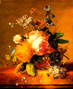 Huysum flowers
