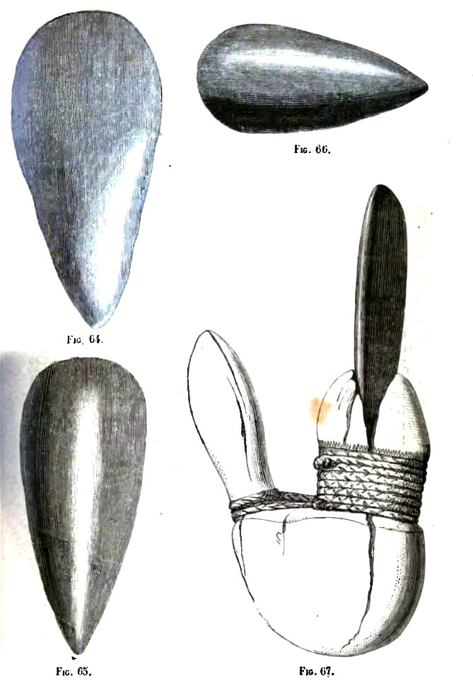 Huxley - De la place de l'homme dans la nature (page 346 crop)