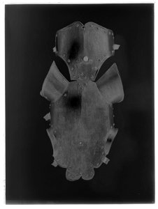 Häststjärna - Livrustkammaren - 8764-negative