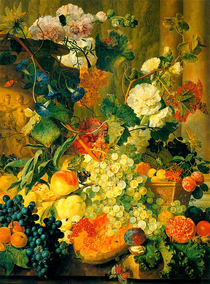 Huysum hollyhocks