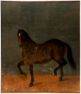 Häst kallad Brandklipparen (David Klöcker Ehrenstrahl) - Nationalmuseum - 14792. Free illustration for personal and commercial use.