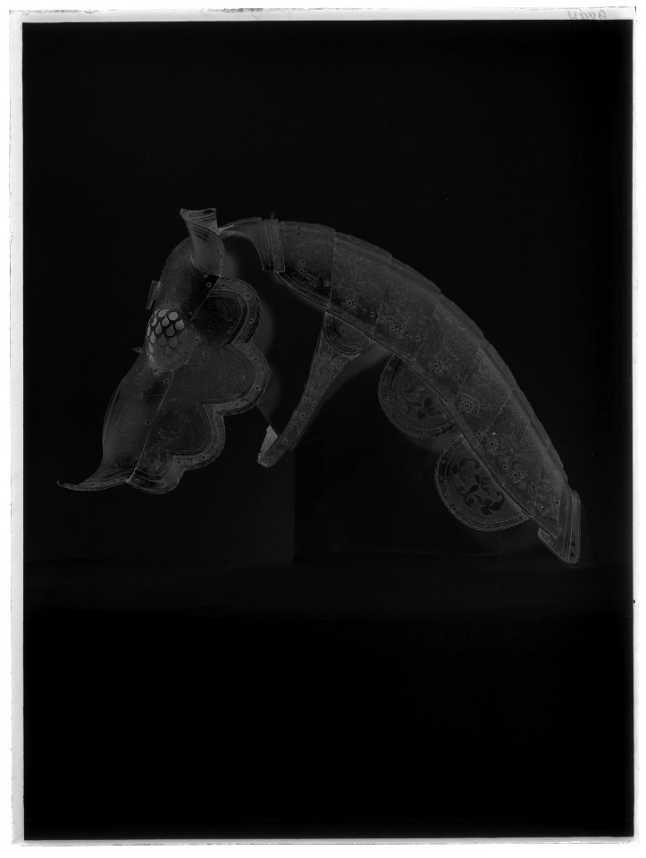 Häststjärna - Livrustkammaren - 17333-negative