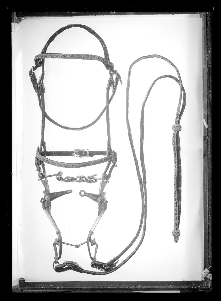 Huvudlag, stångbett och tyglar använda vid Karl X Gustavs begravning 1660 - Livrustkammaren - 61378