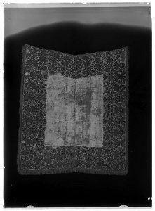 Hästtäcke, blå karossen - Livrustkammaren - 9203-negative