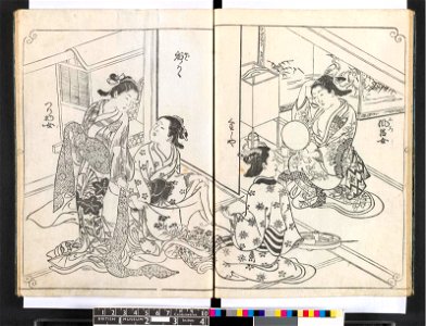 Hyakunin joro shina-sadame 百人女郎品定 (One Hundred Women Classified According to their Rank) (BM 1979,0305,0.70.2 28)