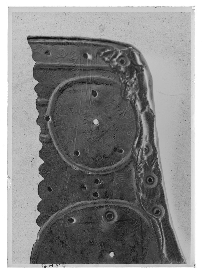 Höftskena - Livrustkammaren - 43932-negative