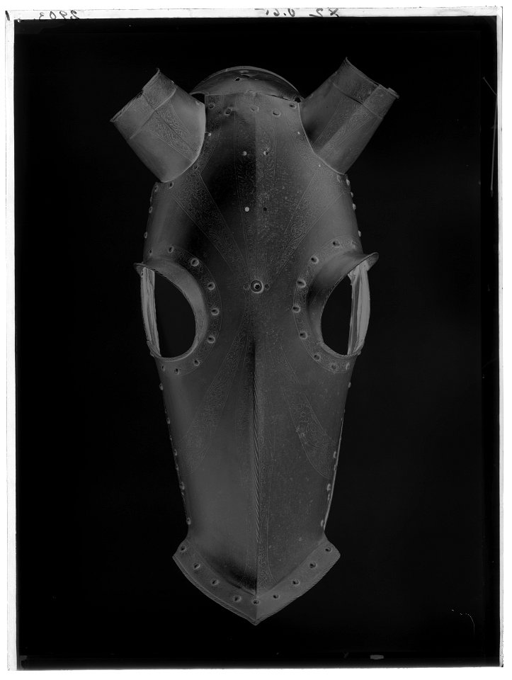 Häststjärna - Livrustkammaren - 34455-negative