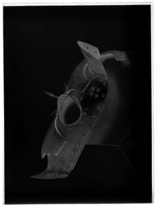 Häststjärna - Livrustkammaren - 8769-negative