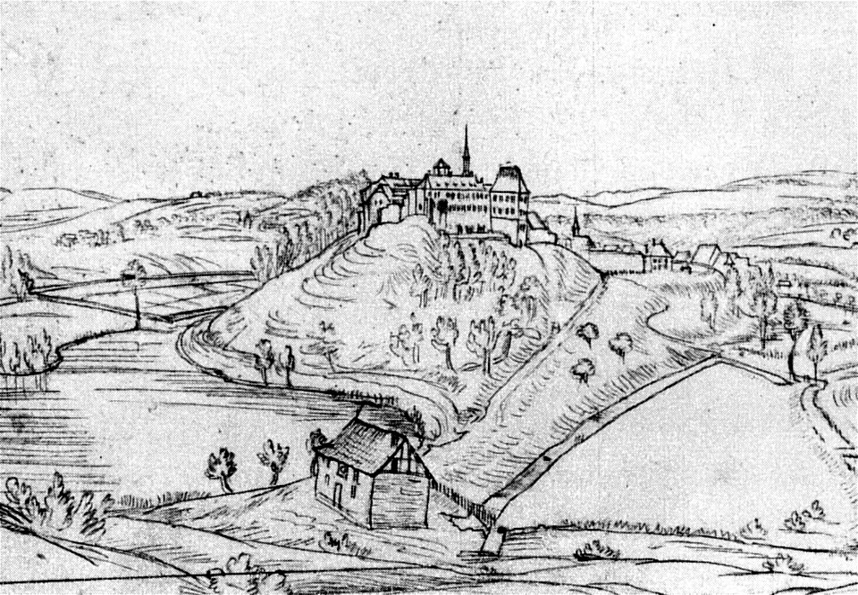 IburgRoidkin