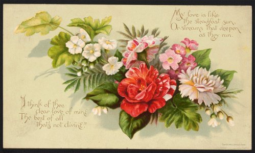 I think of thee dear love of mine the best of all that's not divine LCCN2016652334