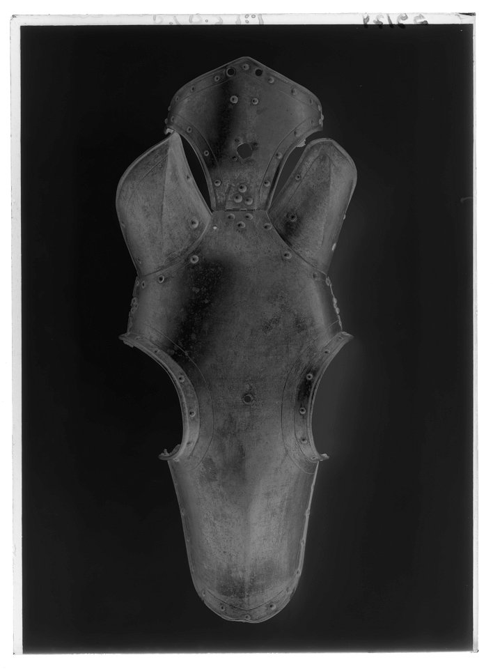Häststjärna - Livrustkammaren - 1638-negative
