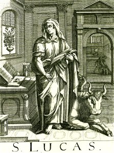 Iconotheca Valvasoriana 16