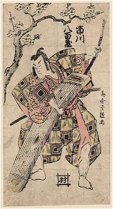 Ichikawa yaozō LCCN2009615223