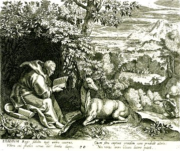 Iconotheca Valvasoriana 5