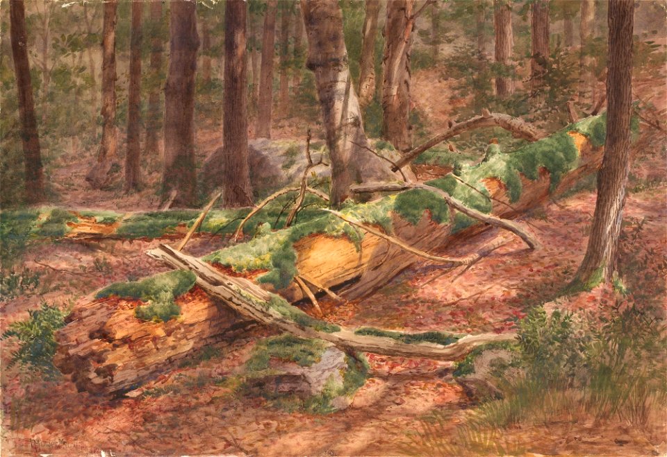 I. Mower Martin - Forest Scene SAAM-1985.66.362106 1
