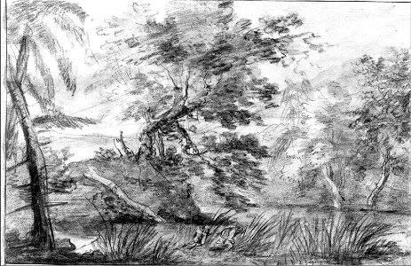 Ignatius van der Stock - Forest landscape