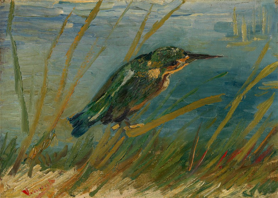 IJsvogel aan de waterkant - s0100V1962 - Van Gogh Museum