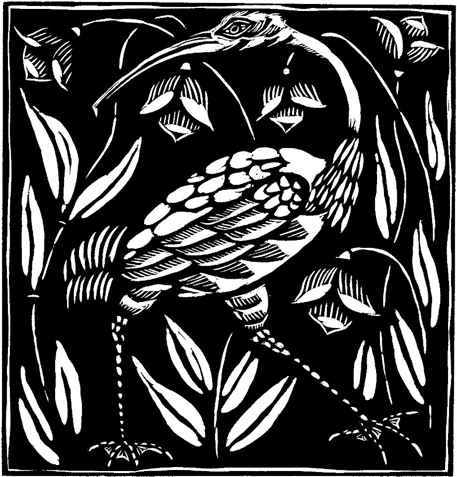 Ibis (Apollinaire - Le Bestiaire, ou Cortège d'Orphée)
